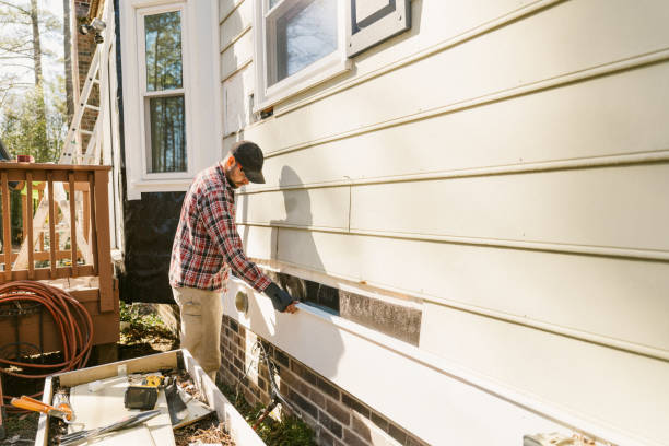 Trusted Vinyl Siding service in Spring Grove, MN - Creative Siding