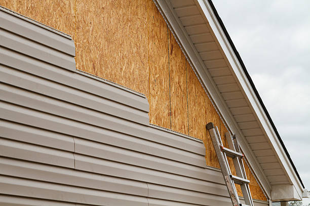 Professional Siding technician working in Spring Grove, MN
